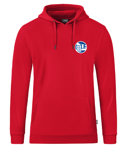 Gymnasium Adolfinum Hoody rot incl. Rückendruck