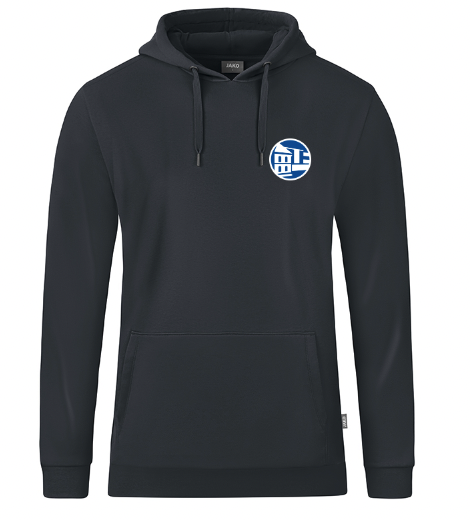 Gymnasium Adolfinum Hoody anthra incl. Rückendruck